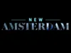New Amsterdam No Ifs, And Or Buts