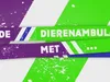 Op de dierenambulance met.. gemist