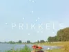 Prikkels - 18-9-2024