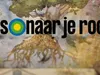 Reis Naar Je Roots 15-10-2023