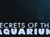 Secrets Of The Aquarium