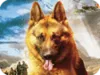 Snuf de hond gemist