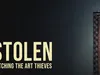 Stolen - Catching the Art Thieves