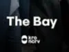 The Bay Crime