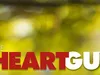 The Heart Guy To Me, To You