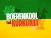 Van Boerenkool tot Kurkuma Balans met basilicum