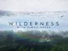 Wilderness with Simon Reeve