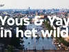 Yous & Yay in het wild S10 & Froukje