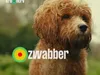 Zwabber - Slecht plan
