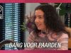 Staan PAARDEN het geluk van Sjoke en Bryan IN DE WEG?