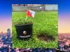 Fans FC Utrecht kunnen stukje van oude grasmat aanschaffen: 'Wel een duur stukje gras'