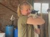 Amelandse kat Alfred na twee jaar mysterieus gevonden bij Duitse grens