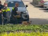 Hond bevrijd uit snikhete auto in Arnhem