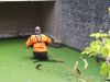 Kat uit water gered in Den Haag
