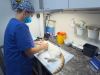 Minima dolblij met gratis kattencastratie in Almere