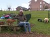 Kinderboerderij in Nieuwkoop klaar met hangjeugd na opnieuw een overleden geit