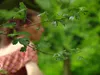 Oud-collega vertelt over ontucht-directeur