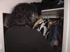 Caroline van der Plas wordt geen premier, verruilt haar 'stoere boots' niet voor mantelpakje en hakken