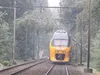 Treinverkeer in het zuiden getroffen door noodweer
