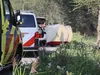 Motorrijder komt om het leven door ongeluk in Halfweg