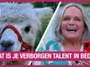 Marcel krijgt een spannend vragenvuur