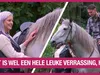 Emily heeft meteen de touwtjes in handen