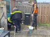 Ontsnapte giftige cobra na maand weer gevangen in Lelystad