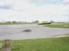 Auto belandt in IJssel, bergers halen voertuig uit het water