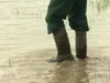 Boeren balen van enorme wateroverlast
