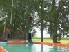 Nieuwe hondensport gaat veel verder dan 'af' en 'pootje'