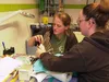 Door kunstvleugel kunnen bedreigde vogels weer vliegen