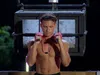 Voor welke muscle is 20 KG grint op z'n schouders al teveel?