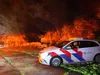 Eigenaar duiventil betrapt inbrekers en voorkomt inbraak