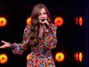 Diede van den Heuvel - Lollypopland