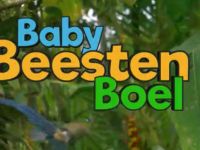 BabyBeestenBoel - Ontdekken