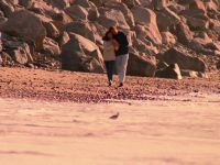 Baywatch - Snake Eyes
