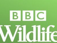 BBC Wildlife - De Sahara (5-slot)