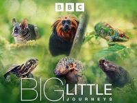 Big Little Journeys - Een nieuwe wereld