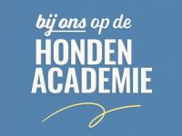 Bij ons op de Hondenacademie - Blindengeleidehond