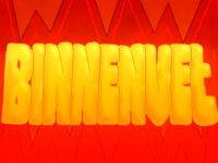 Binnenvet - Beeldhangjongeren