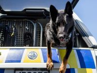 Border Security: Dog Patrol - 1-5-2025