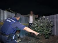 Border Security: Dog Patrol - 12-4-2025