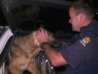Border Security: Dog Patrol - 29-6-2024