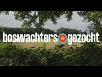 Boswachters Gezocht - Aflevering 1