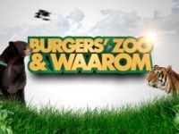 Burgers’ Zoo & Waarom - De breedsnuitkaaiman