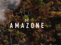 De Amazone - Suriname - 'Goudkoorts'