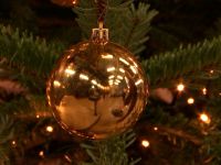 De Bondgenoten - 25-12-2025