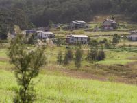 De Grote Verhuizing Australië - Hunter Valley