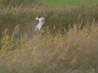 De Perfecte Plek - 30-11-2025