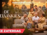 De Roelvinkjes - Aflevering 4